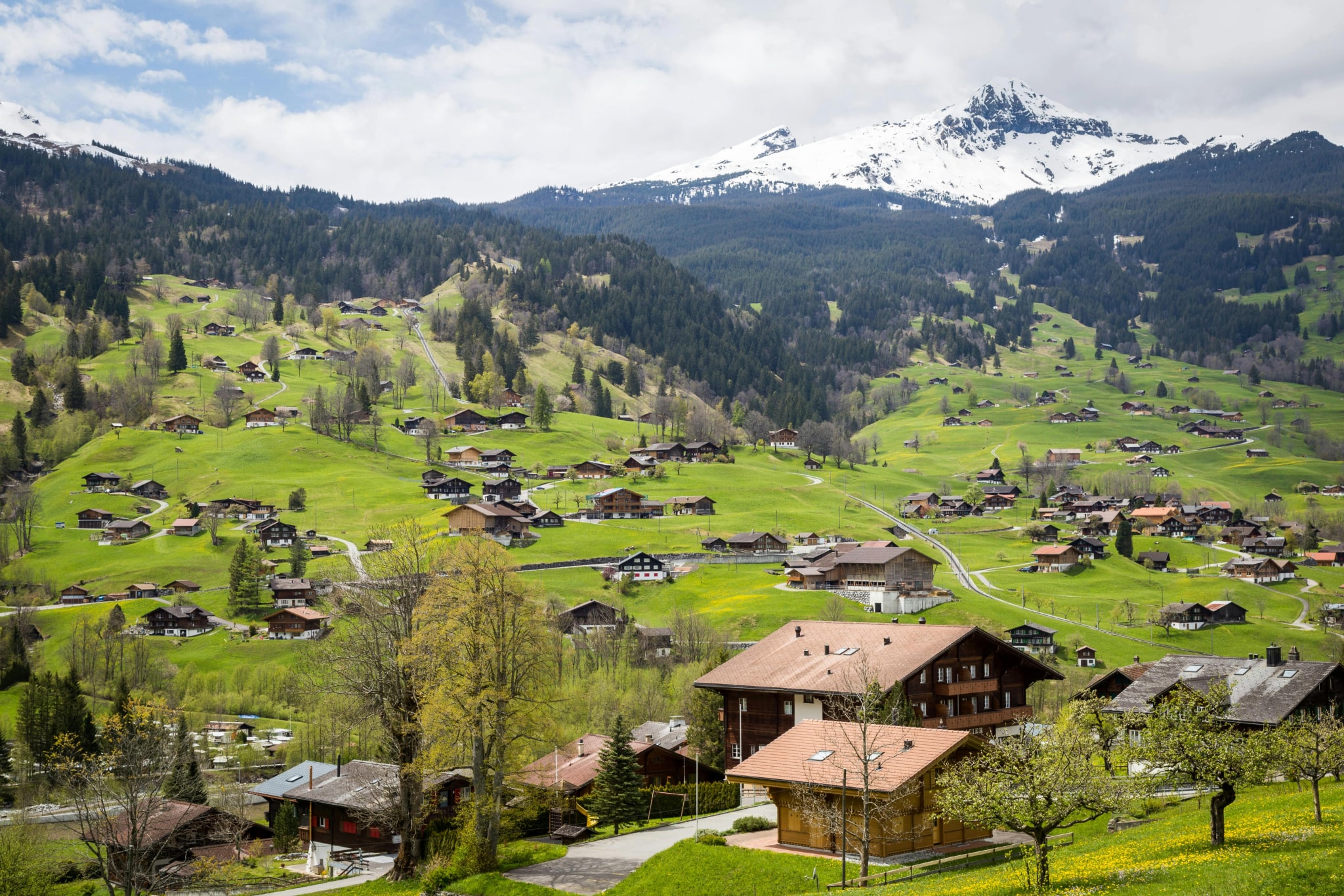 Country Image