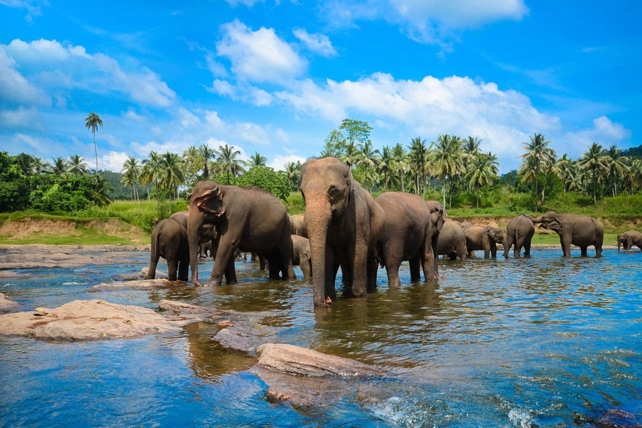 SRI LANKA 4 NIGHTS 5 DAYS